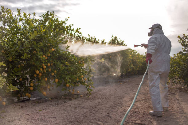 Best Commercial Pest Control Services  in Safety Harbor, FL
