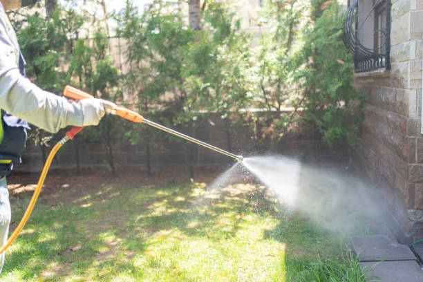 Best Emergency Pest Control  in Safety Harbor, FL